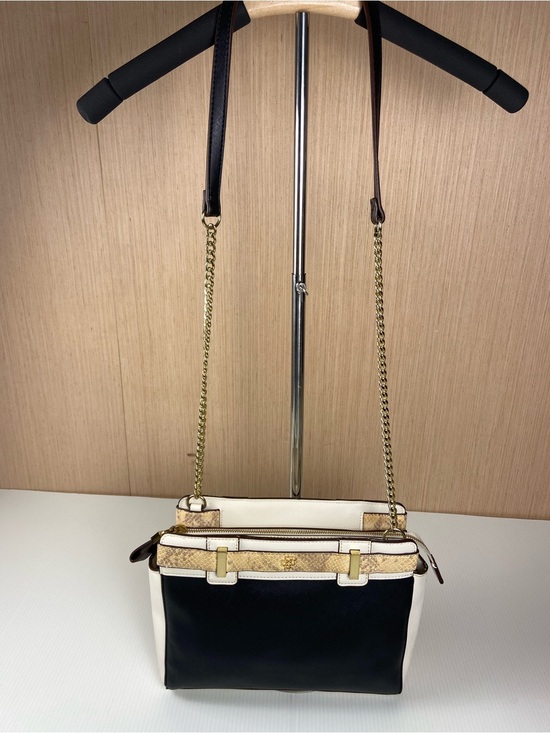 Ann Taylor Handbags - Ann Taylor Colorblock Genuine Leather Chain Shoulder Bag Snake Trim